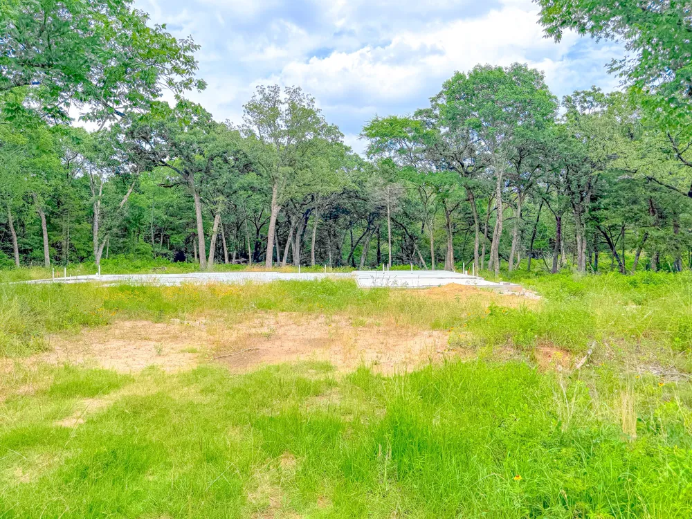 Shenandoah Drive Streetman, TX 75859