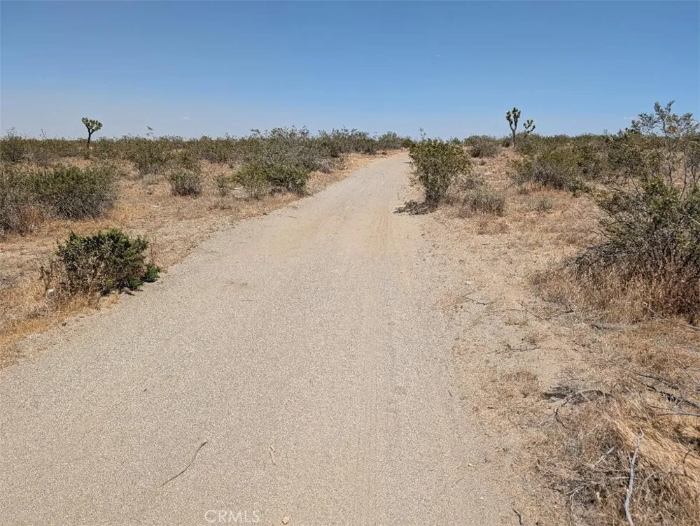 3 Dos Palmas Pinon Hills, CA 92372