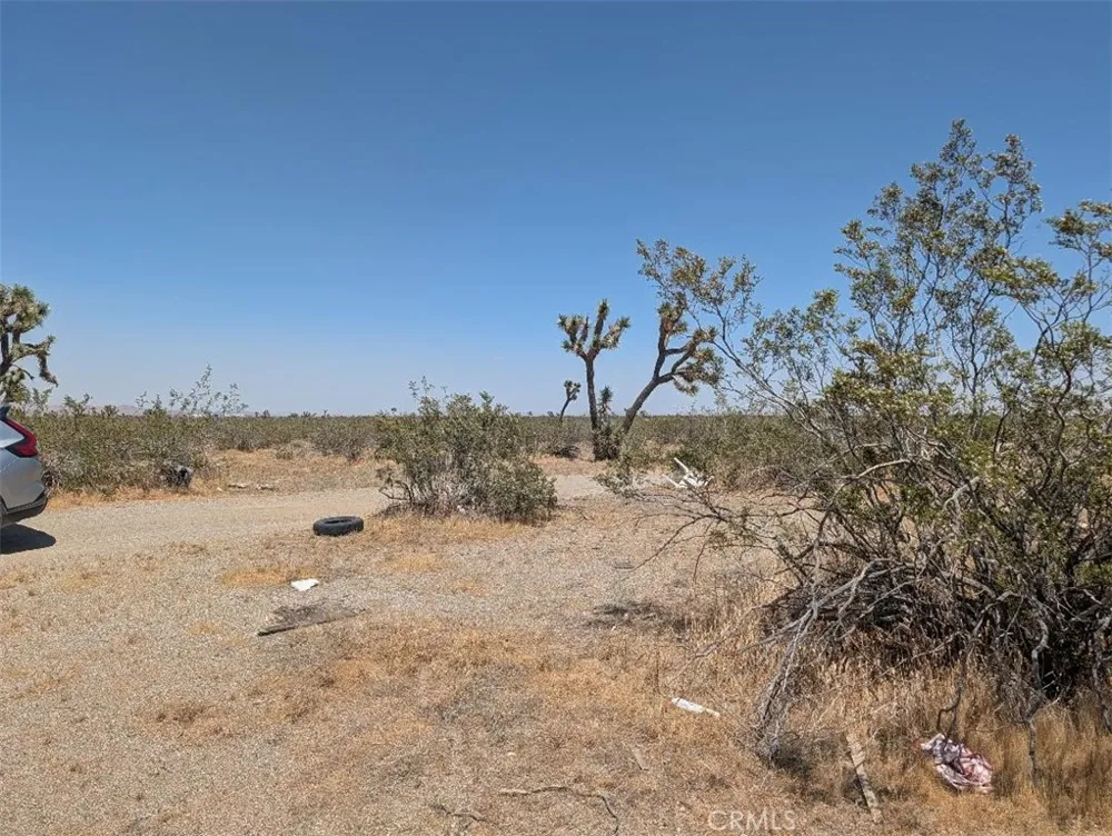 3 Dos Palmas Pinon Hills, CA 92372