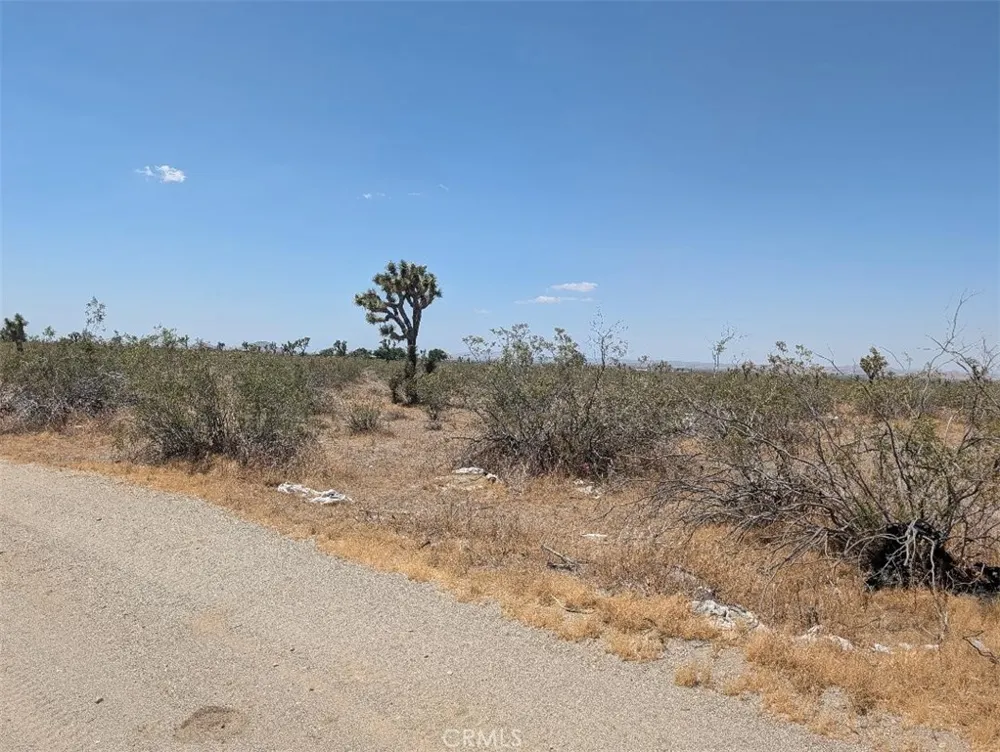3 Dos Palmas Pinon Hills, CA 92372