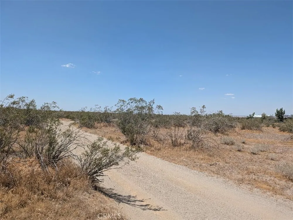7 Dos Palmas Pinon Hills, CA 92372