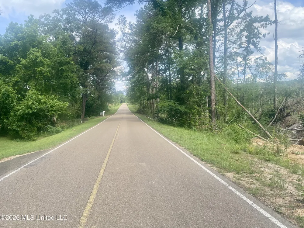4194 Martinsville Road Wesson, MS 39191