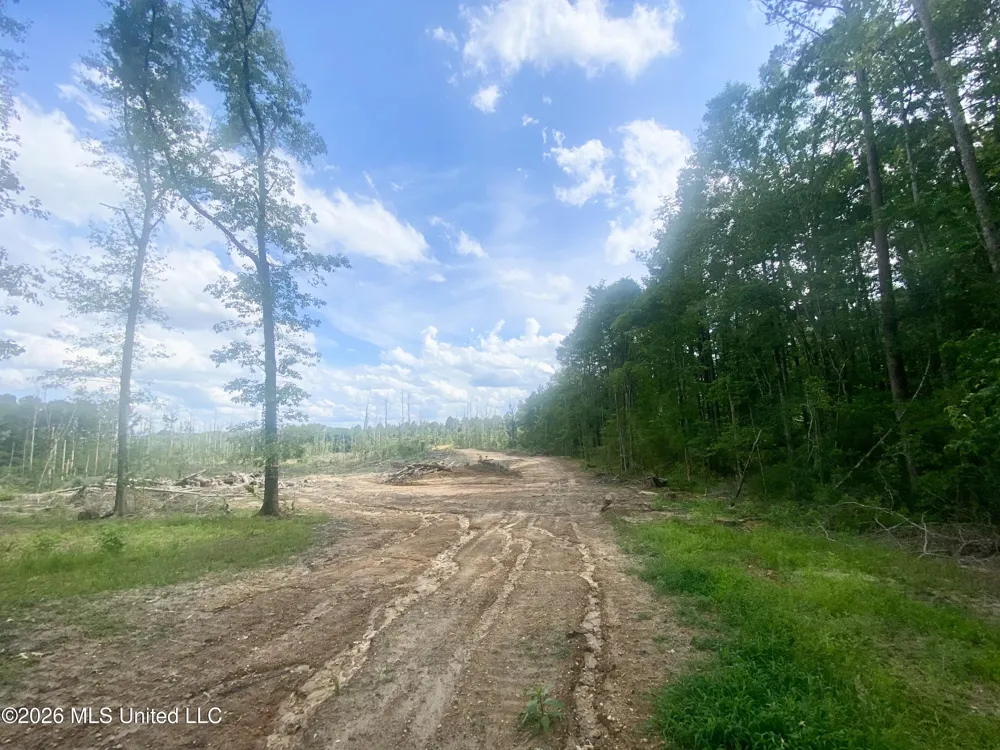 4194 Martinsville Road Wesson, MS 39191