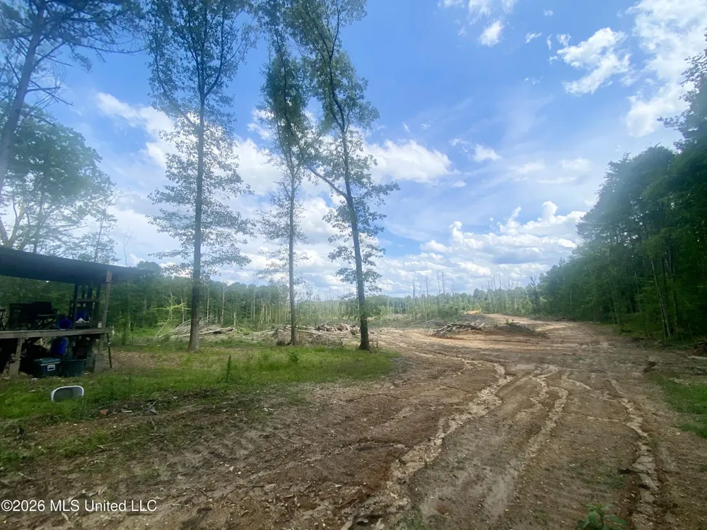 4194 Martinsville Road Wesson, MS 39191