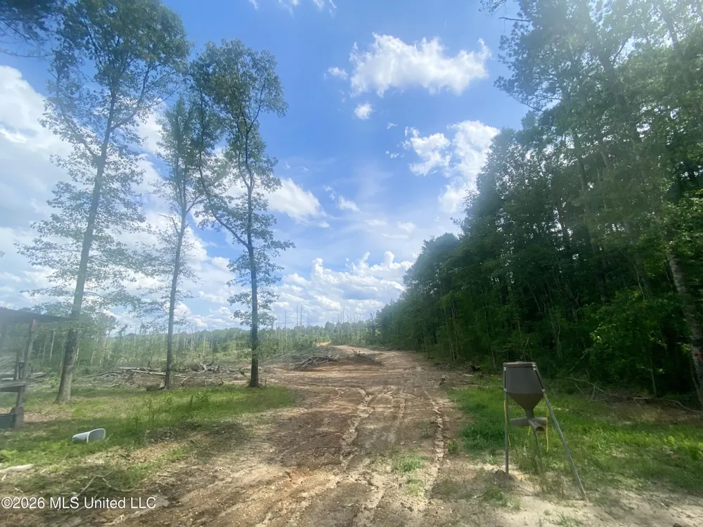 4194 Martinsville Road Wesson, MS 39191