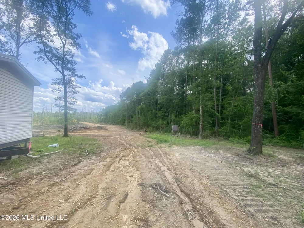 4194 Martinsville Road Wesson, MS 39191