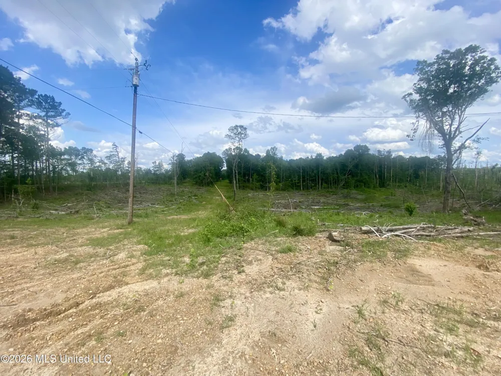 4194 Martinsville Road Wesson, MS 39191