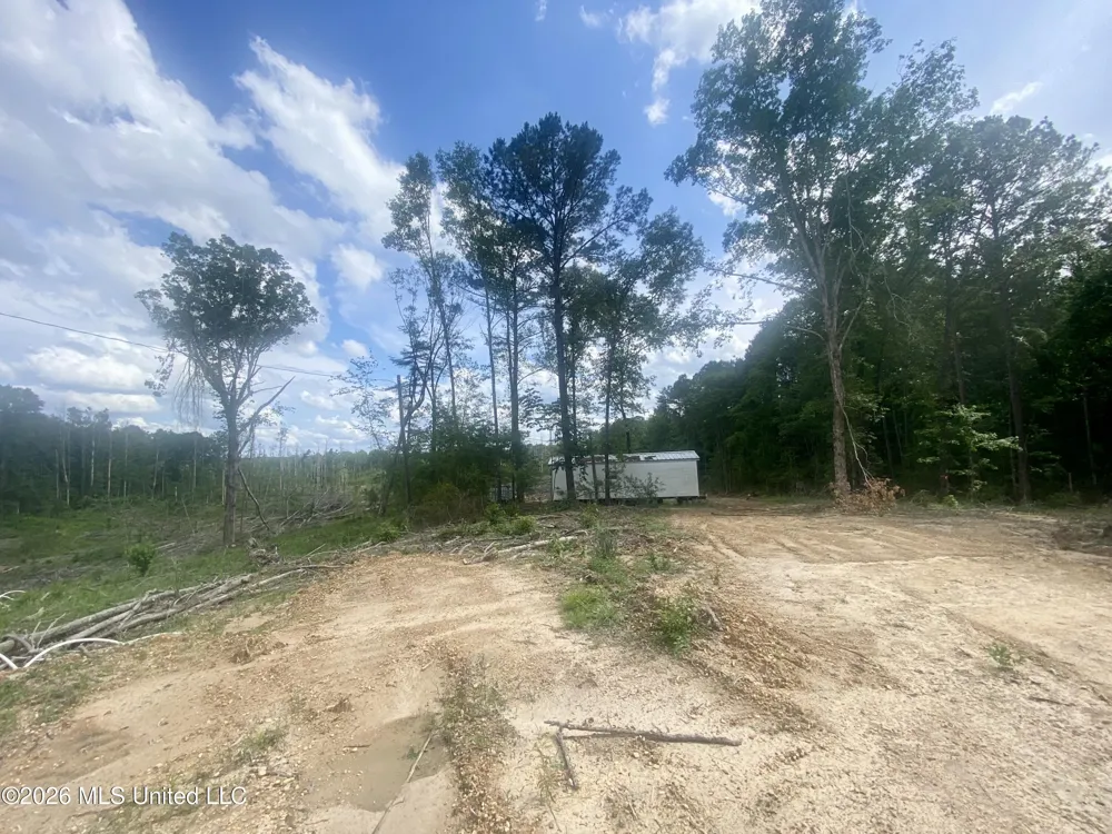 4194 Martinsville Road Wesson, MS 39191