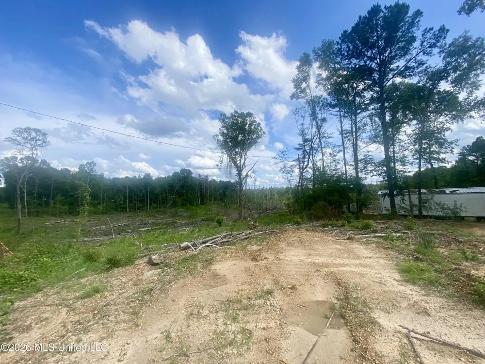 4194 Martinsville Road Wesson, MS 39191