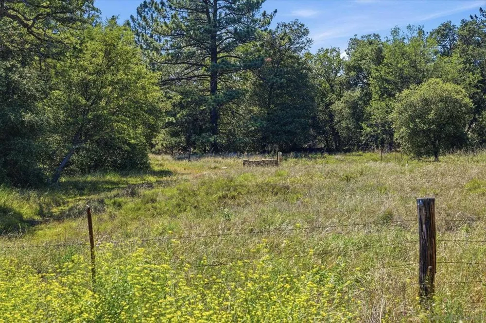 9474 Black Mountain Truck Trail Santa Ysabel, CA 92070
