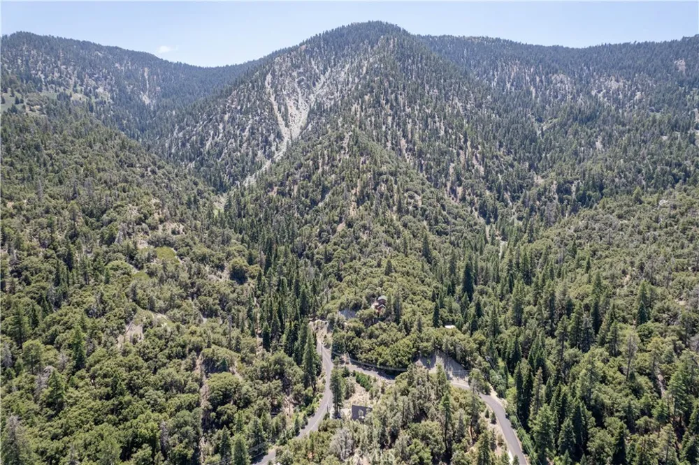 1213 Bernina Drive Pine Mountain Club, CA 93222
