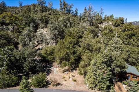 1301 Bernina Drive