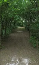 PRIVATE ROAD ROAD Milford, TX 76670