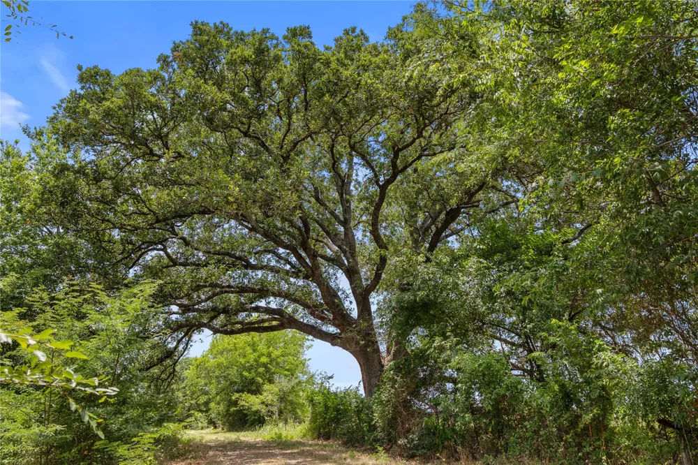 Highway 274 Kemp, TX 75143