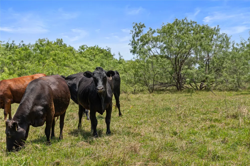 Highway 274 Kemp, TX 75143