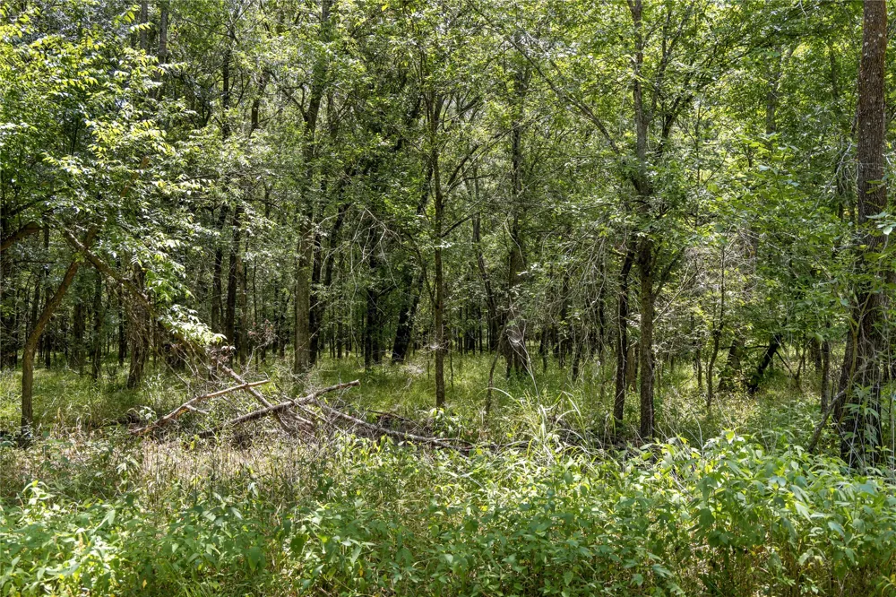 Highway 274 Kemp, TX 75143