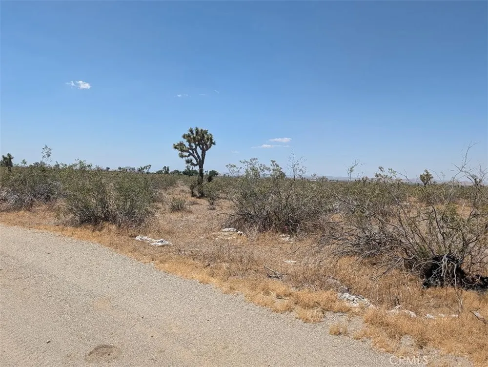6 Dos Palmas Pinon Hills, CA 92372