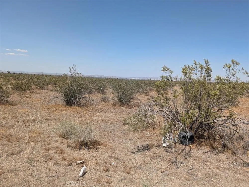 6 Dos Palmas Pinon Hills, CA 92372