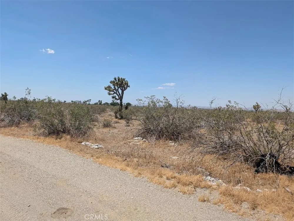 5 Dos Palmas Pinon Hills, CA 92372