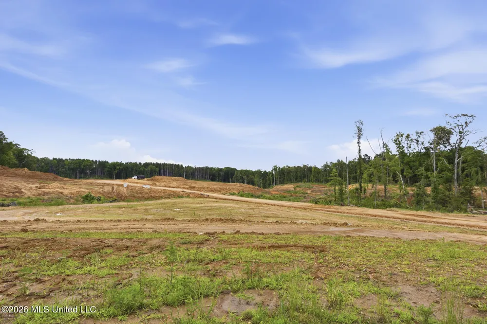 1177 Didlake Road Crystal Springs, MS 39059