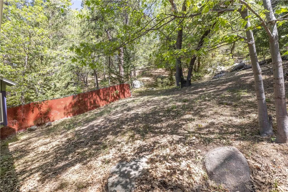 32232 Fern Running Springs, CA 92382