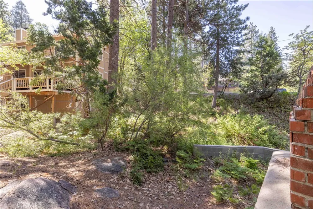 32232 Fern Running Springs, CA 92382