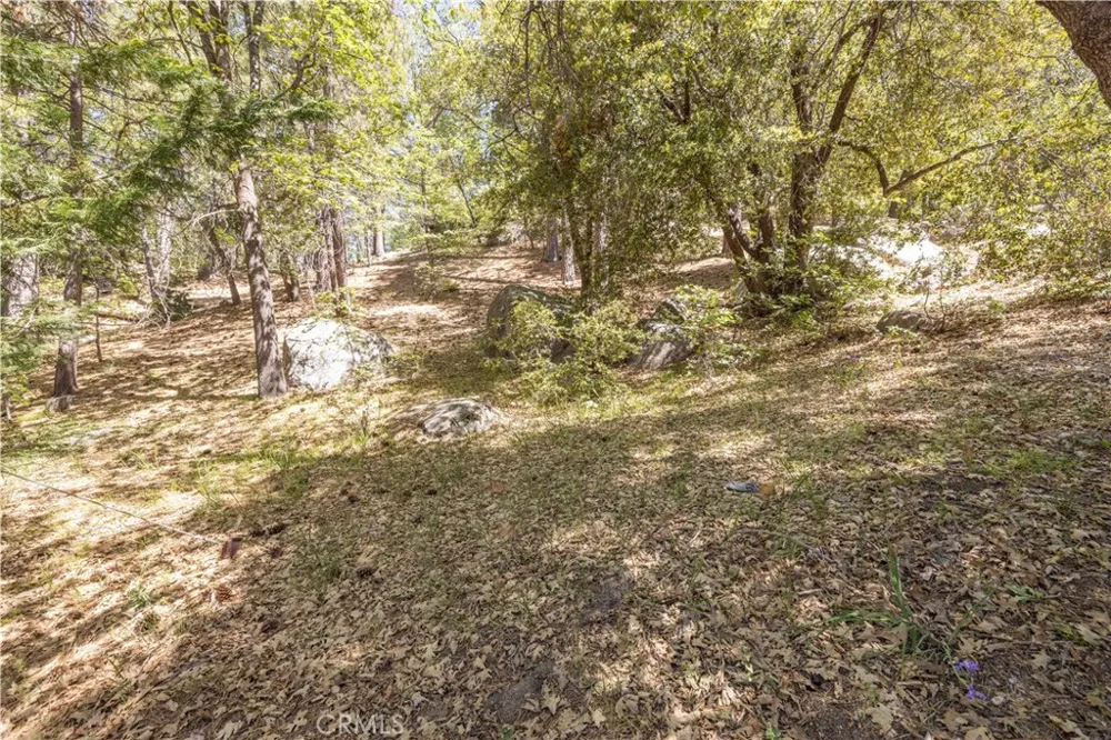 32232 Fern Running Springs, CA 92382