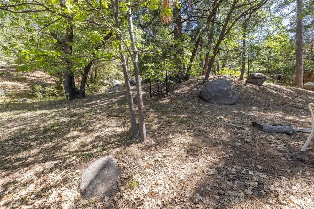 32232 Fern Running Springs, CA 92382
