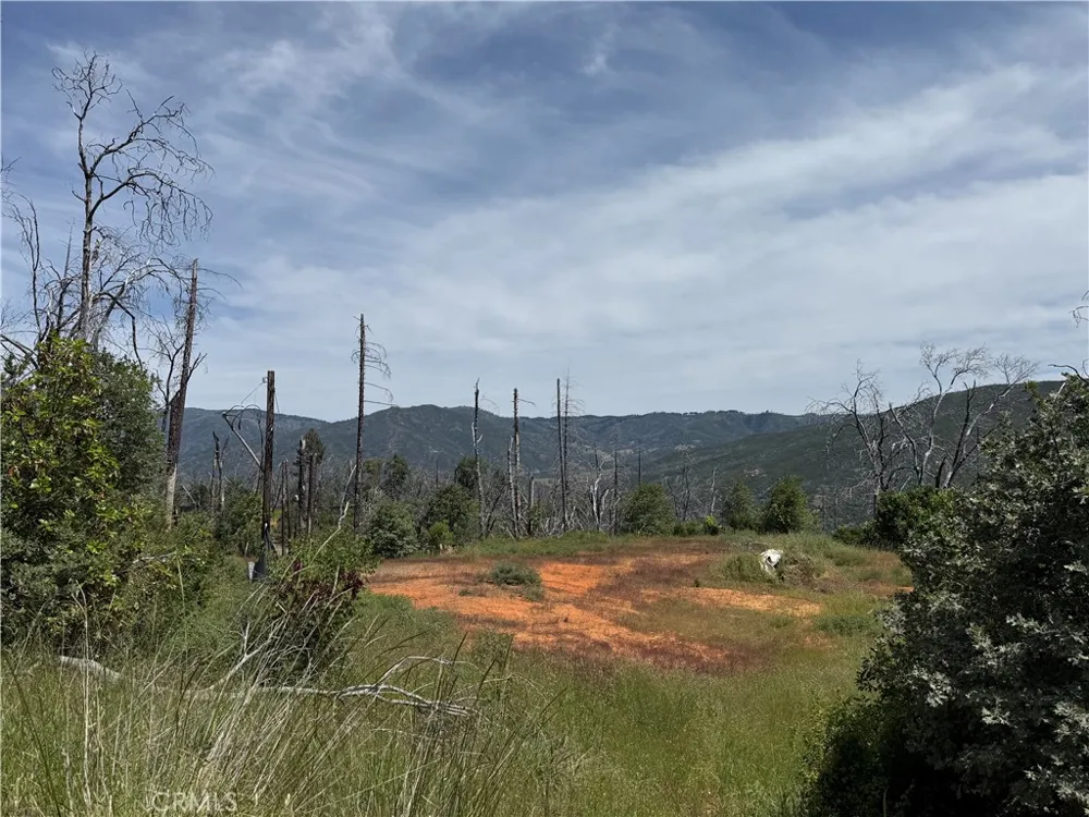 1833 Hunter Point Dr Upper Lake, CA 95485