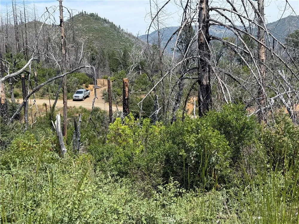 1833 Hunter Point Dr Upper Lake, CA 95485