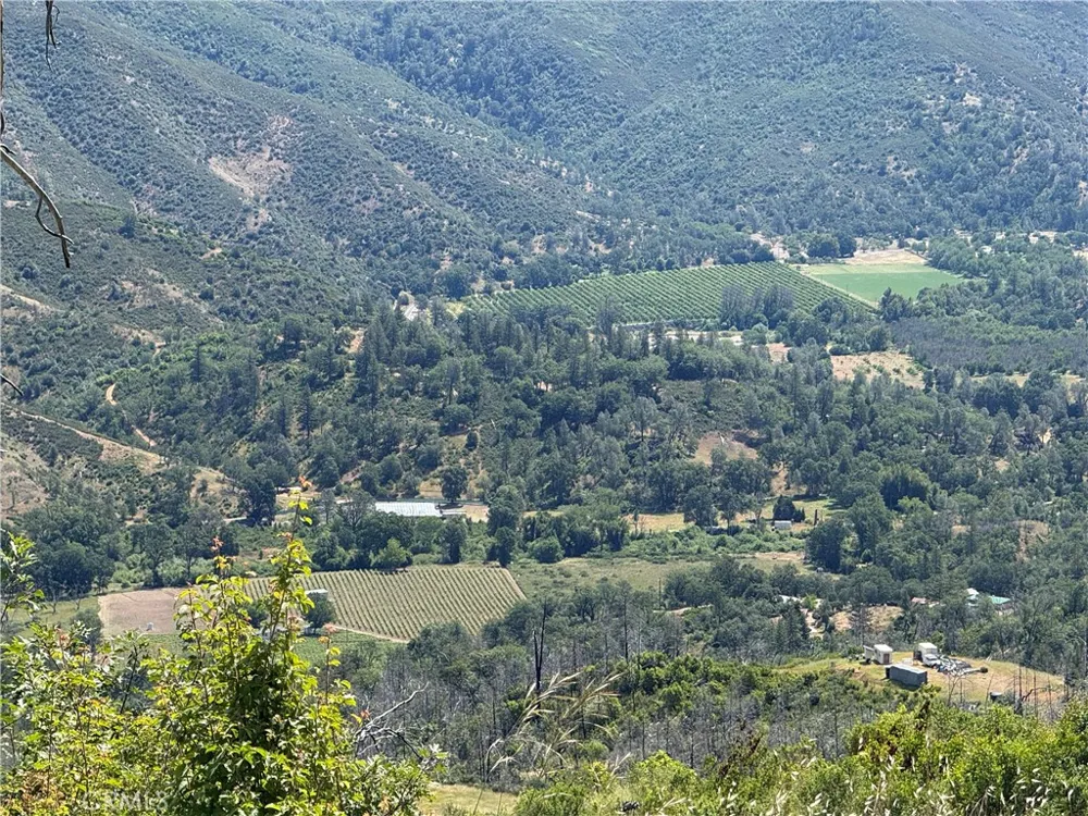 1833 Hunter Point Dr Upper Lake, CA 95485
