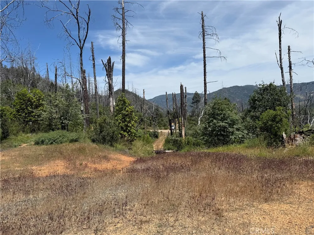 1833 Hunter Point Dr Upper Lake, CA 95485