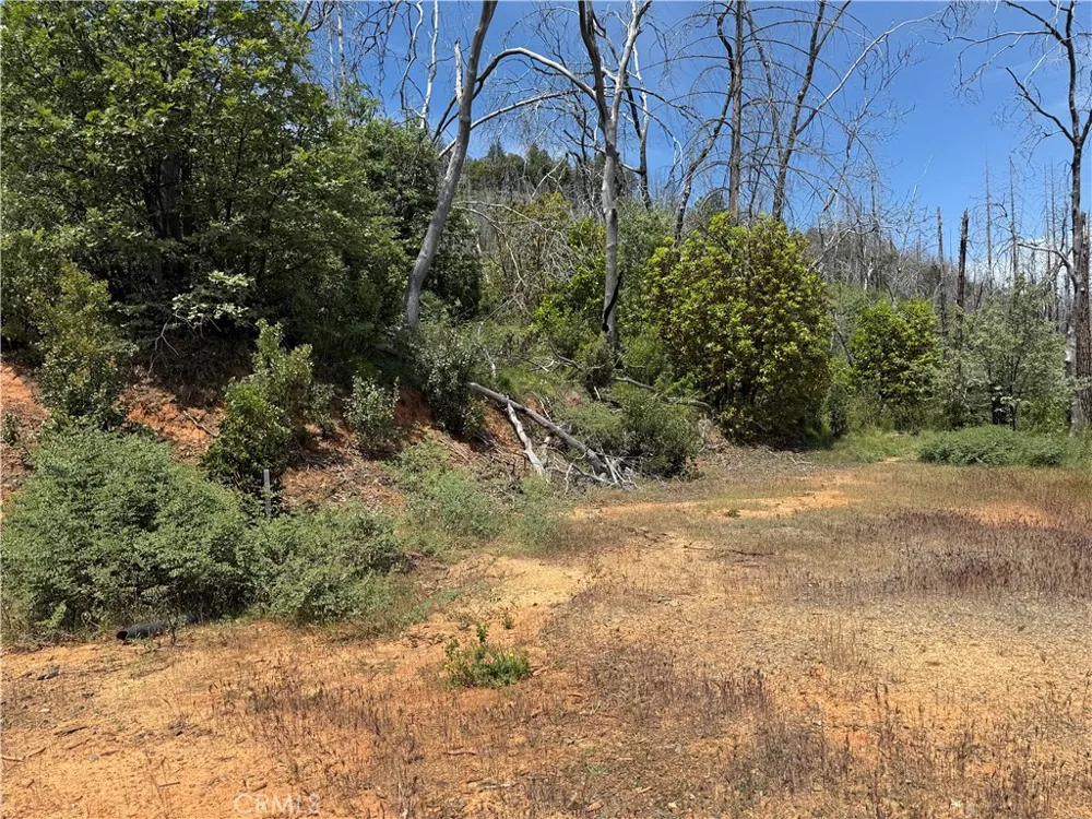 1833 Hunter Point Dr Upper Lake, CA 95485