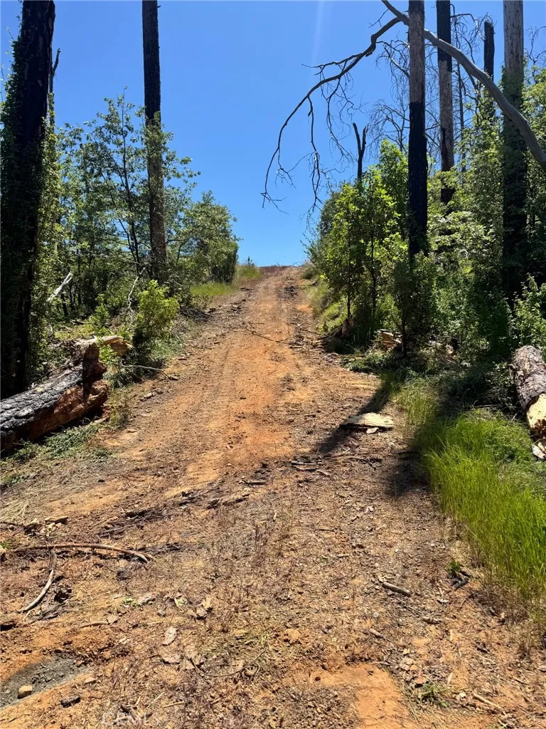 1833 Hunter Point Dr Upper Lake, CA 95485