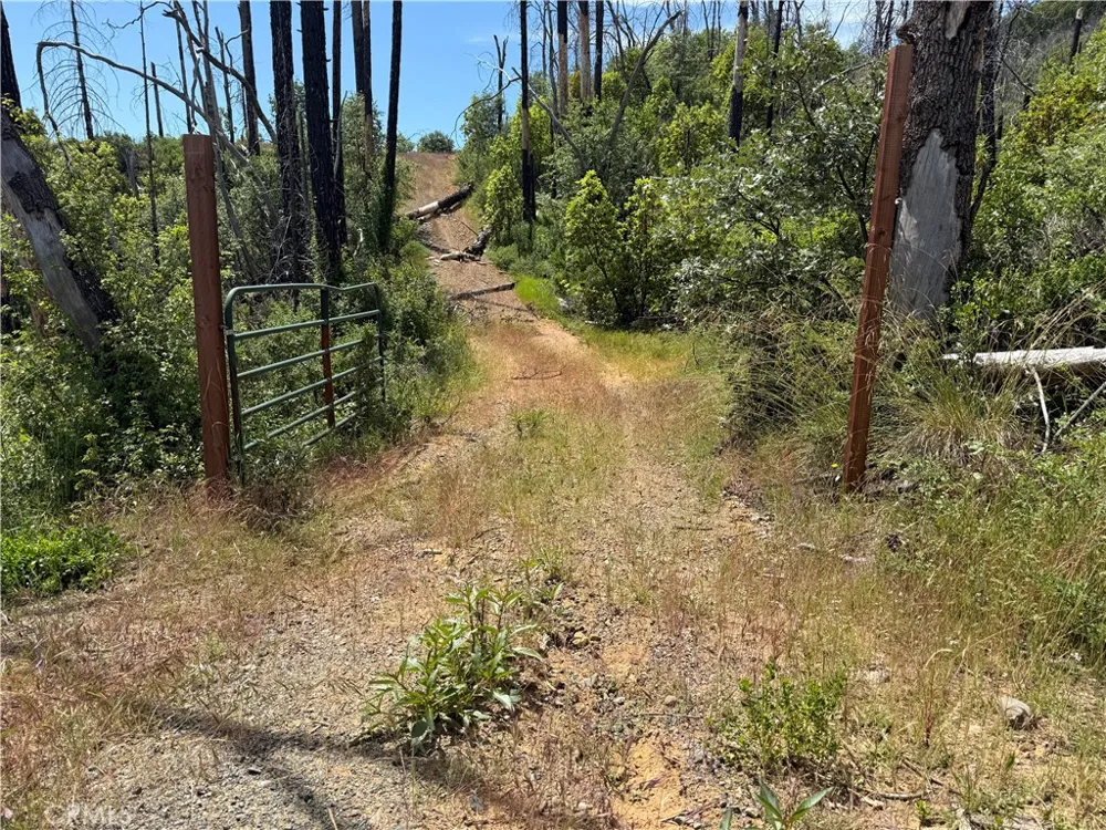 1833 Hunter Point Dr Upper Lake, CA 95485