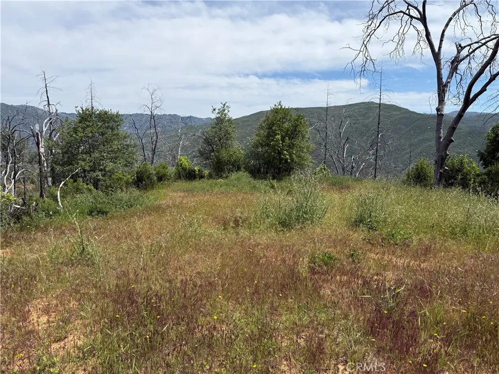 1833 Hunter Point Dr Upper Lake, CA 95485