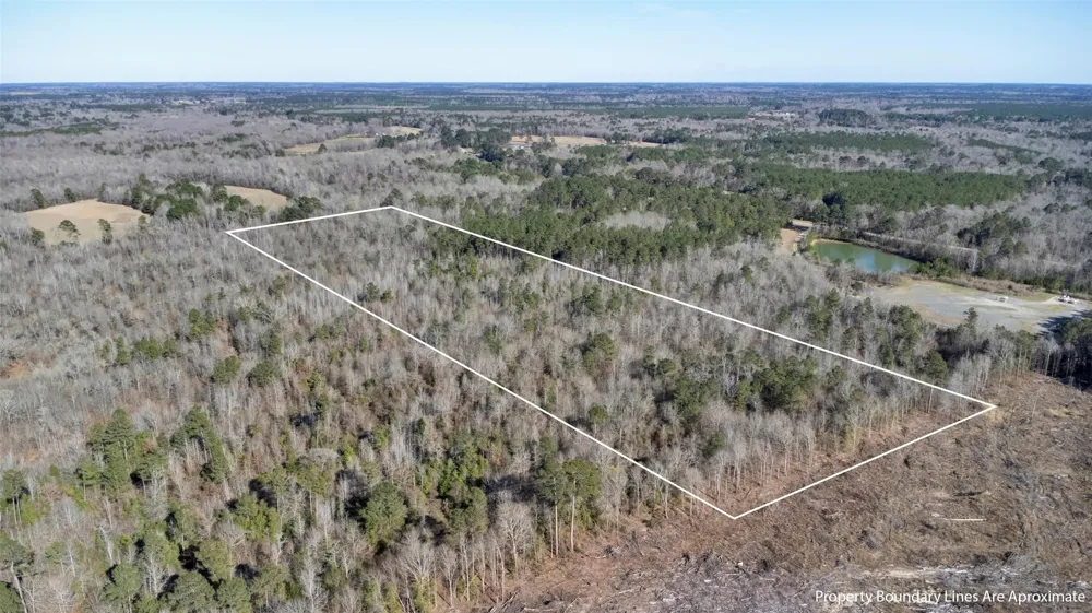County Rd 3071 De Berry, TX 75639