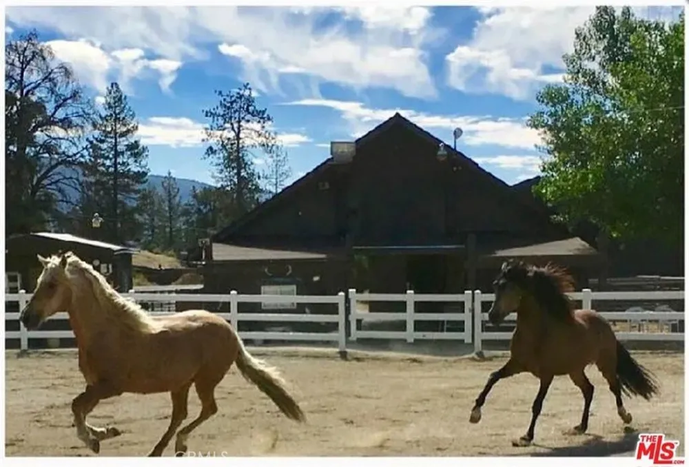1216 Banff Drive Pine Mountain Club, CA 93222