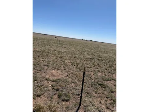 0 CR 39