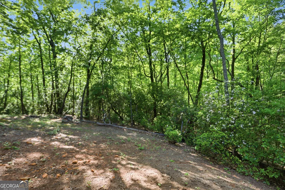 702 Ranch Mountain DR Dahlonega, GA 30533