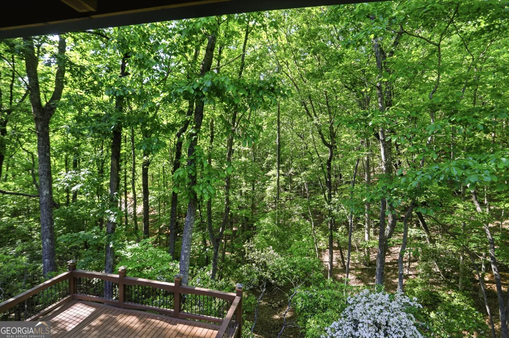 702 Ranch Mountain DR Dahlonega, GA 30533
