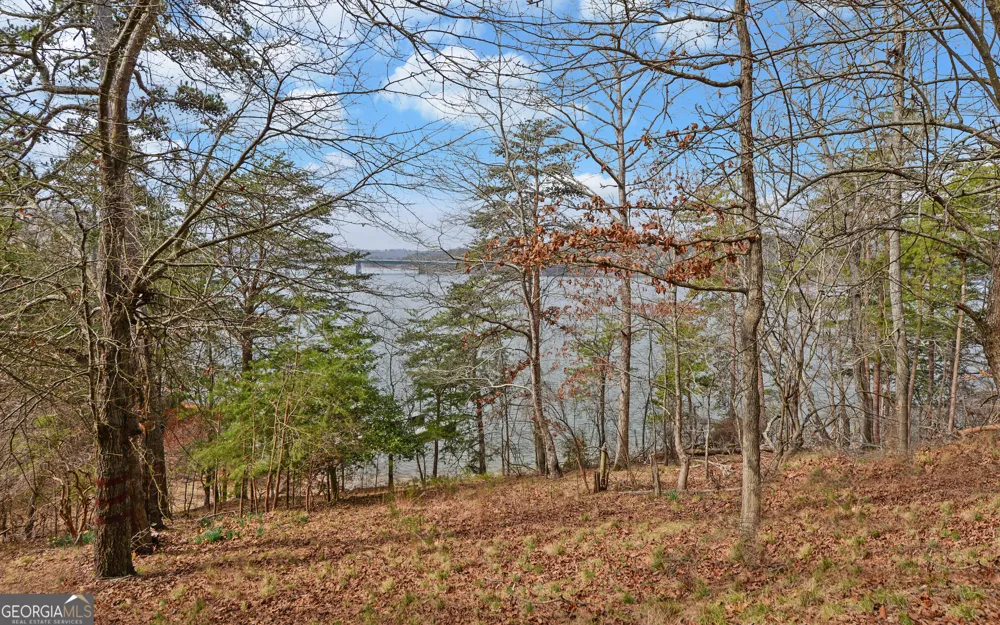 2290 Boy Scout Camp RD Gainesville, GA 30501