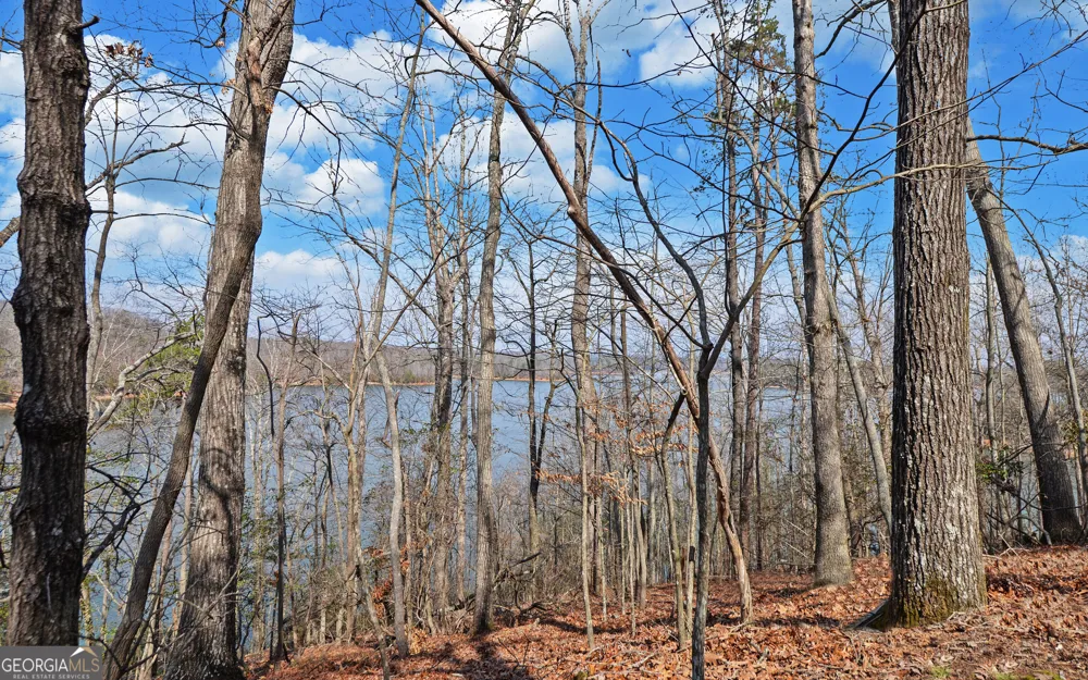 2290 Boy Scout Camp RD Gainesville, GA 30501
