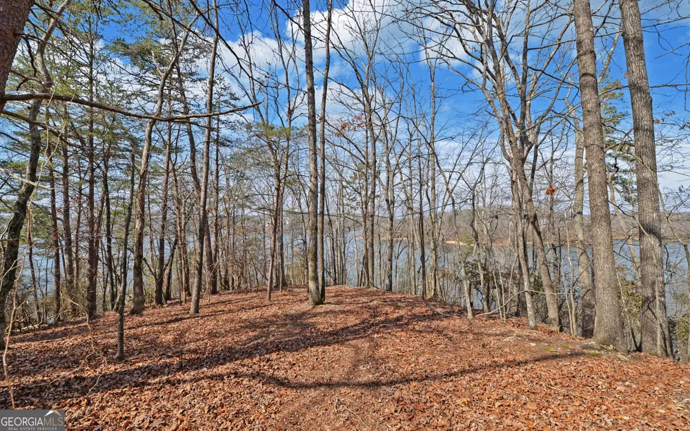 2290 Boy Scout Camp RD Gainesville, GA 30501