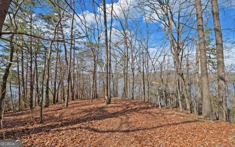 2290 Boy Scout Camp RD
