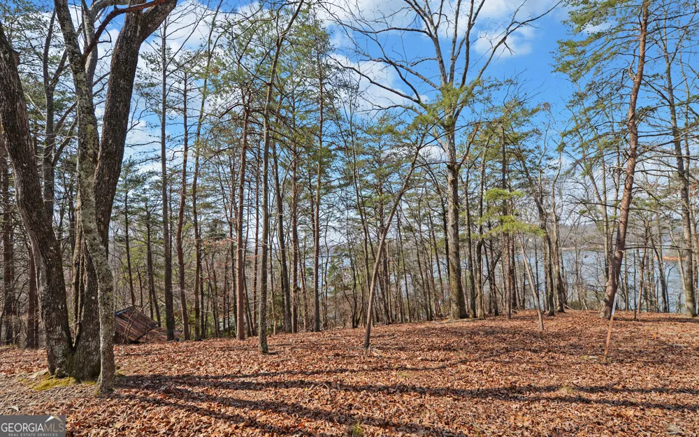 2290 Boy Scout Camp RD Gainesville, GA 30501