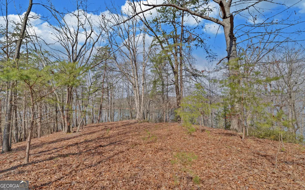 2290 Boy Scout Camp RD Gainesville, GA 30501