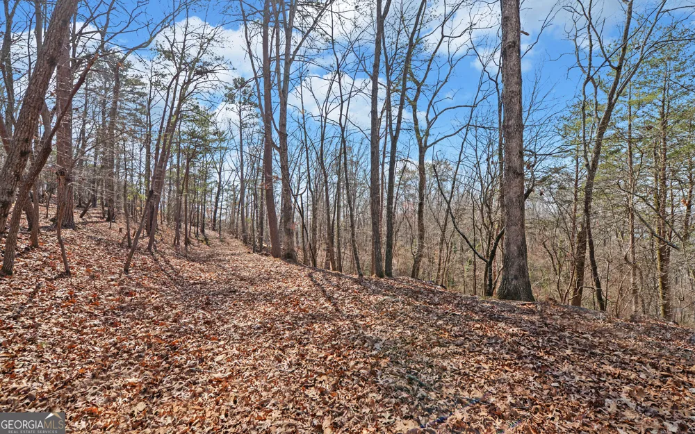 2290 Boy Scout Camp RD Gainesville, GA 30501