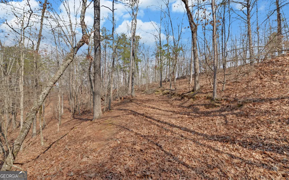 2290 Boy Scout Camp RD Gainesville, GA 30501