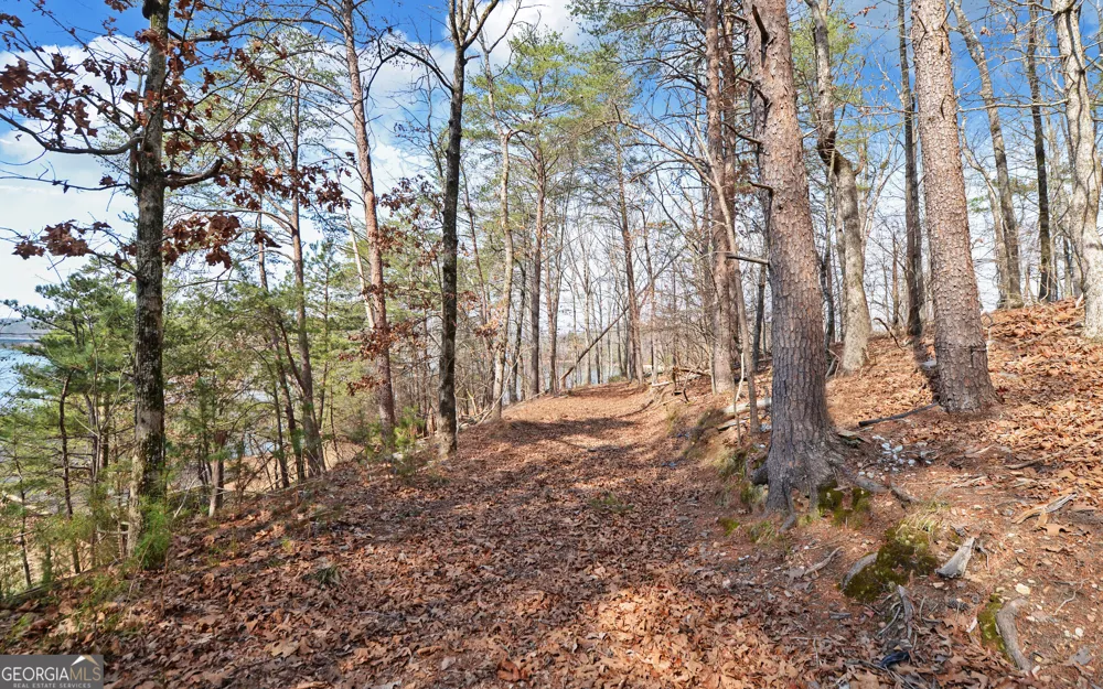 2290 Boy Scout Camp RD Gainesville, GA 30501
